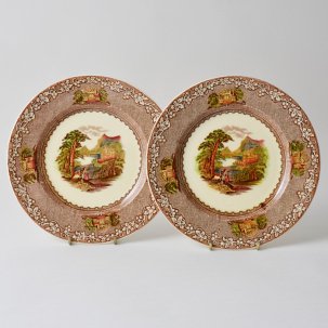 ビンテージ ケーキ皿2枚セット<br>ROYAL STAFFORDSHIRE POTTERY  JENNY LIND 絵皿 <br>1950年代