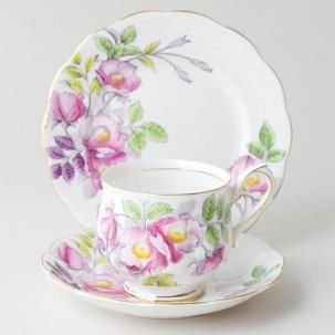 ӥơȥꥪ<br> 륢Сȡ Flower of the Month <br>DOG ROSE  Ф<br>
1950ǯ  HAND-PAINTED<img class='new_mark_img2' src='https://img.shop-pro.jp/img/new/icons13.gif' style='border:none;display:inline;margin:0px;padding:0px;width:auto;' />