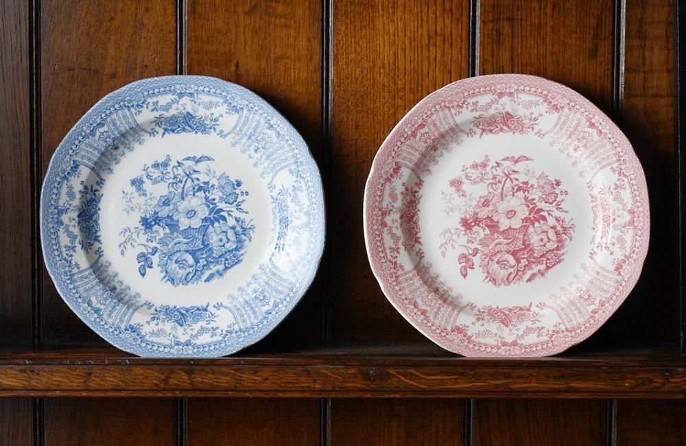 10/29(水) フローラを再入荷しました