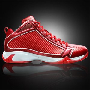 apl basketball shoes banned