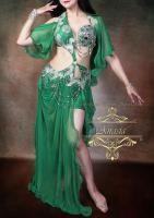 ベリーダンス衣装　Yasser　グリーン　オリエンタル衣装　Designed by Yasser<img class='new_mark_img2' src='https://img.shop-pro.jp/img/new/icons14.gif' style='border:none;display:inline;margin:0px;padding:0px;width:auto;' />