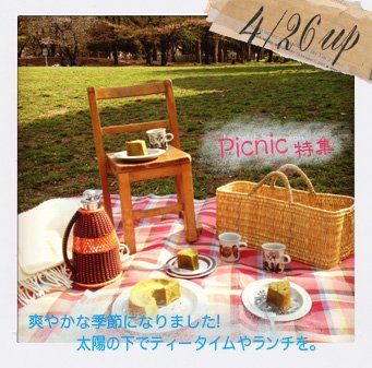 ԥ˥å,picnic,arabia,finel,ƥȥ,