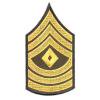 <img class='new_mark_img1' src='https://img.shop-pro.jp/img/new/icons15.gif' style='border:none;display:inline;margin:0px;padding:0px;width:auto;' />U.SߡU.S Armylogo- åڥ󡢥ѥå (14.5*7.5cm) #008