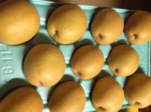 王秋 【3kg】4玉 （商品番号：O10-H29-130) - 「梨屋 与佐ヱ門