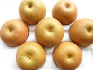 農家から直送 石島梨農園