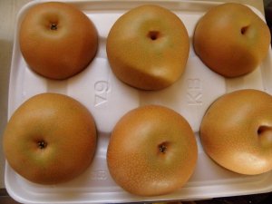 あきづき梨　3キロ　大玉　（5〜7個　3〜5L）