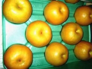 ⚠️Anela＊⚠️茨城県産　梨/幸水　秀品　5キロ 楽天市場】梨 幸水 5kg 茨城の通販
