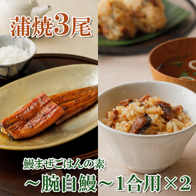 浜名湖うなぎ蒲焼3尾と鰻まぜごはんの素〜腕自鰻〜(1合用×2)詰合せ