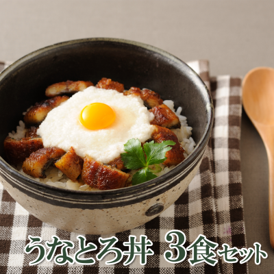 浜名湖うなとろ丼セット(3食分)