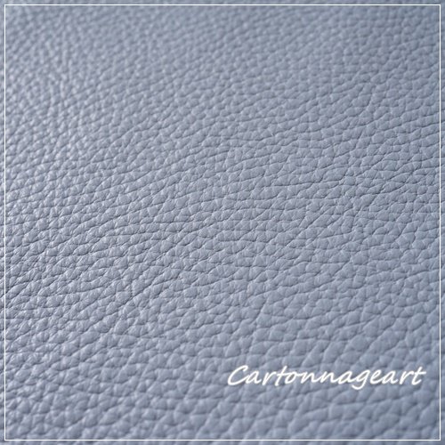 ThinageLeater - CartonnageArt