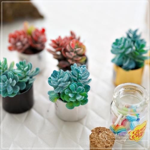 多肉植物 ミニチュア小物 - CartonnageArt 多肉植物 ミニチュア小物 - CartonnageArt