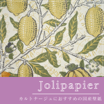 JolipapierLV-2008ξʲ