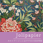  JolipapierLL-6299ξʲ