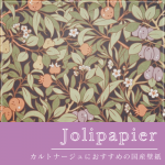 JolipapierLL-6295ξʲ