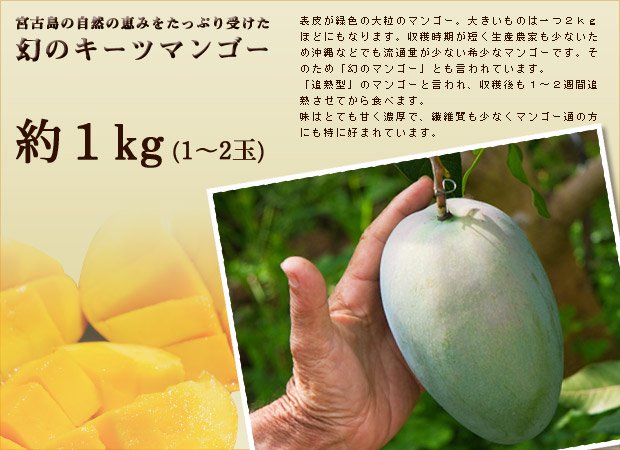 キーツマンゴー 約1kg 沖縄県 宮古島 完熟アップルマンゴー キーツマンゴー クマザ農園