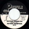 HAYDEN THOMPSON - WATCHA GONNA DO (7