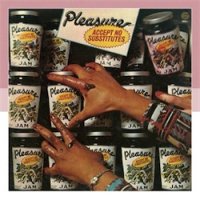 PLEASURE - ACCEPT NO SUBSTITUTES (CD) - BARNHOMES RECORDS : Punk, Garage,  Soul, Indie Rock