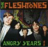 FLESHTONES - ANGRY YEARS (CD)