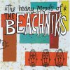 BEACHNIKS - THE MANY MOODS OF (CD)