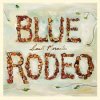 BLUE RODEO - SMALL MIRACLES (CD)