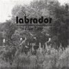 LABRADOR - THIS TIME (CD)