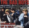 BAD BOYS - CRAWLING UP A HILL (LP)