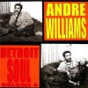 ANDRE WILLIAMS - DETROIT SOUL VOL. 4 (LP)