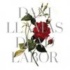 DANI LLAMAS - DEAD LABOR (LP)