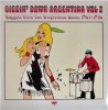 V/A - DIGGIN' DOWN ARGENTINA VOL. 2 (LP)