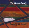 MOUNTAIN GOAT - BEAUTIFUL RAT SUNSET (CD)