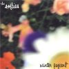 SOFTIES - WINTER PAGEANT (CD)