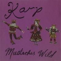 洋楽 KARP - Mustaches Wild '10 EP Karp - Mustaches Wild (10”) - BARNHOMES RECORDS ：Punk