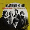 Misunderstood - Children Of The Sun, The Complete Recordings 1965-1966 (2CD)