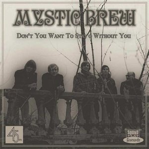 MYSTIC BREW - DON'T YOU WANT TO STAY (7