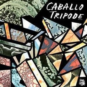 CABALLO TRIPODE - Horror Vacui (LP)