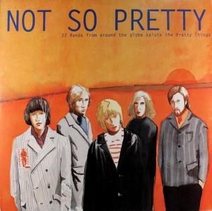 V/A - NOT SO PRETTY (2LP)