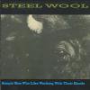 STEEL WOOL - SIMPLE MAN (CD)
