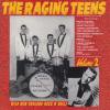 V/A - THE RAGING TEENS SERIES VOL.2 (CD)