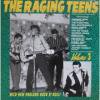 V/A - THE RAGING TEENS SERIES VOL.3 (CD)