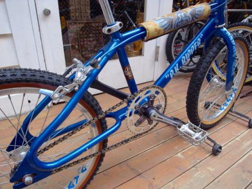 1980 SE RACING P.K.RIPPER in BLUE PERFECT PARTS SCREAMIN