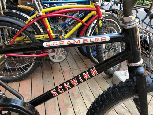 1979 on sale schwinn scrambler