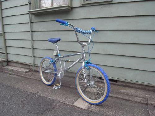 Schwinn clearance predator blue