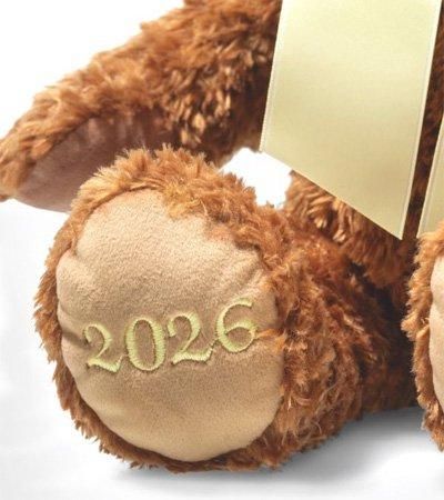 Steiff コ―ジー イヤー ベア 2026 EAN114175 - Steiff｜ シュタイフ