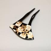 եޥ뤫󤶤ֻԾ˶βڡס