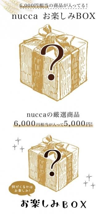 <img class='new_mark_img1' src='https://img.shop-pro.jp/img/new/icons26.gif' style='border:none;display:inline;margin:0px;padding:0px;width:auto;' />NuccaХ饨BOX6000