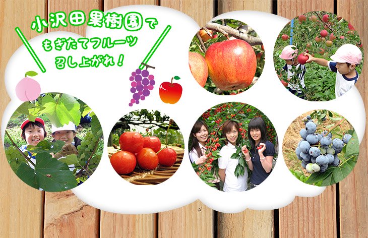 小沢田果樹園で、もぎたてフルーツ召し上がれ