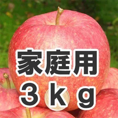 世界一 - 【りんご通販小沢田果樹園】青梅、完熟梅、佐藤錦さくらんぼ
