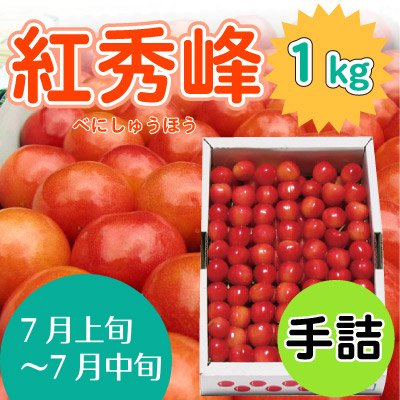 さくらんぼ紅秀峰1kg[手詰] 小沢田観光果樹園（青森南部町）