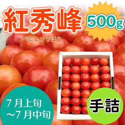 さくらんぼ紅秀峰500g[手詰] 小沢田観光果樹園（青森南部町）