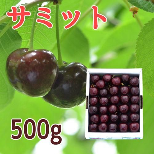 サミット種 サクランボ 3L 500g 先行予約2025年7月より発送】＜北海道余市産＞さくらんぼ
